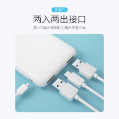 纽曼 充电宝 移动电源  5000毫安 双USB A501(14902)