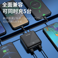 纽曼充电宝 移动电源  1万毫安  AL03黑色 自带线 可上飞机  双LED照明 (15175)