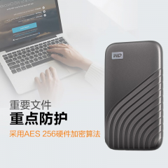 西部数据 移动固态 1T NVME Type-C 接口 (13234)