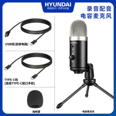 现代 HY-5I 有线单麦/话筒 麦克风 USB口 会议直播  手机K歌 游戏直播(15066)