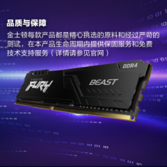金士顿台式机内存 DDR4 32G 3600 骇客神条 (15377)
