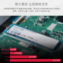金士顿固态硬盘 NV2 500G M.2 2280 NVME PCIe 4.0（16244）