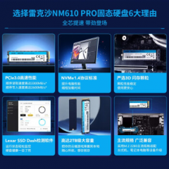 雷克沙固态硬盘 NM610 PRO 500G M.2 NVMe协议 PCle3.0四通道（16211）