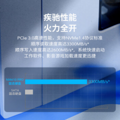 雷克沙固态硬盘 NM610 PRO 1T M.2 NVMe协议 PCle3.0四通道（16262）