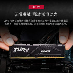 金士顿台式机内存 DDR5 16G 5600 骇客 单条 (16467)