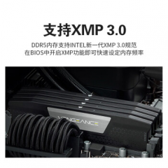 海盗船台式机内存 DDR5 16G 5600 单根 (16714)