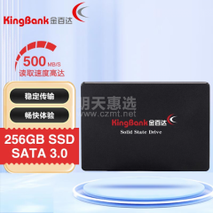 【金百达】固态硬盘 KP320 256G SATA3 2.5寸（16960）