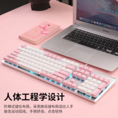 达尔优 LK165 白粉拼色 有线机械键盘 104键 单光游戏键盘 茶轴（17246）