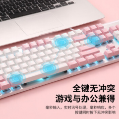 达尔优 LK165 白粉拼色 有线机械键盘 104键 单光游戏键盘 茶轴（17246）