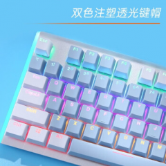 达尔优 LK165 白粉拼色 有线机械键盘 104键 单光游戏键盘 茶轴（17246）
