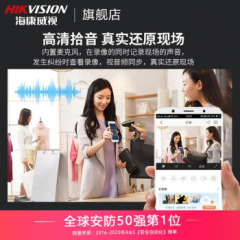 海康 400万星光红外POE枪机 3T46WDV3-I3 4MM 高清拾音（14066）