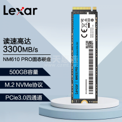 雷克沙固态硬盘 NM610 PRO 500G M.2 NVMe协议 PCle3.0四通道（16211）
