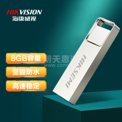 海康威视 X301 8GB USB2.0 U盘 金属外壳 商务便携 银色（16536）