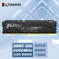 金士顿台式机内存条 DDR5 32G  6000  Beast野兽系列 骇客神条（17177）