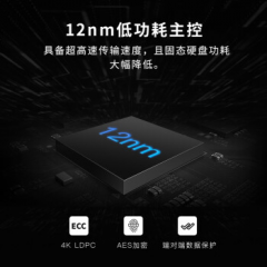 宏碁固态硬盘 掠夺者 GM7000 1T M.2/NVMe协议/ PCIe 4.0  (17891)