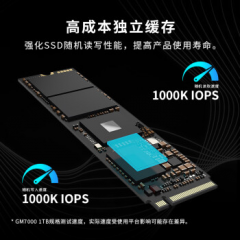 宏碁固态硬盘 掠夺者 GM7000 1T M.2/NVMe协议/ PCIe 4.0  (17891)