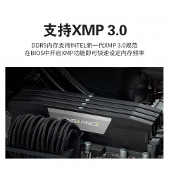 海盗船台式机内存 DDR5 32G 5600 单根 (16606)