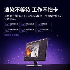 雷克沙固态硬盘 NM620 512G M.2 NVMe协议 PCIe 3.0 (18252)