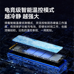 雷克沙固态硬盘 NM620 512G M.2 NVMe协议 PCIe 3.0 (18252)