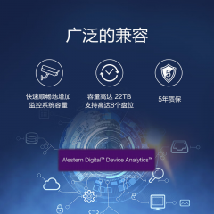 西部数据（WD)  监控紫盘 10T SATA3 3.5寸硬盘 (WD101EJRP)