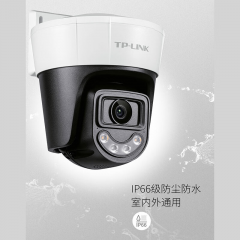 TP-LINK 300万全彩室外POE球机 TL-IPC632DP-A4 (18931)