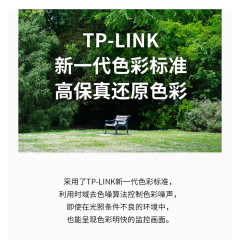 TP-Link 300万POE半球 TL-IPC435EP-W 4mm (16676)
