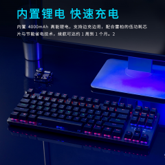 雷柏  V500PRO 87键 多模版 无线机械单键盘 蓝牙+有线+无线  茶轴 (19323)