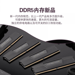 海盗船台式机内存 DDR5 16G 6000 复仇者 C36 (18071)