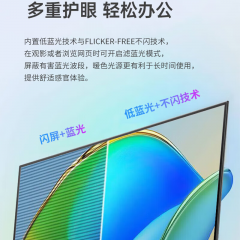 飞利浦显示器 24E2N1100 24寸 LGD-IPS 100Hz VGA/HDMI (19190)