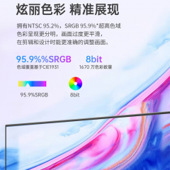 飞利浦显示器 24E2N1100 24寸 LGD-IPS 100Hz VGA/HDMI (19190)