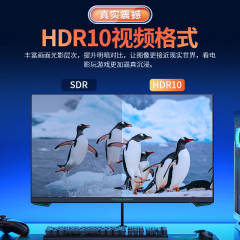 泰坦军团显示器 P24GX 24寸/FHD/180Hz/FastIPS/1ms HDR DP+HDMI (19131)