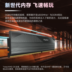 金百达台式机内存 星刃 DDR5 32G 6800 套条 16G*2  C34 (19797)