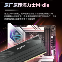 金百达台式机内存 星刃 DDR5 32G 6800 套条 16G*2  C34 (19797)