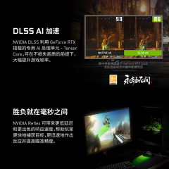 索泰显卡 3050-6G 毁灭者OC HA/HB 双风扇/DP+HDMI（19804）