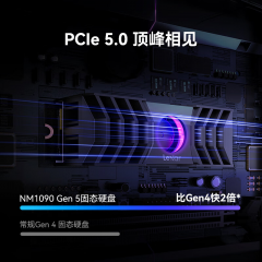雷克沙固态硬盘 NM1090 2T M.2 NVMe协议 PCIe5.0x4 (19496)