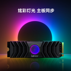 雷克沙固态硬盘 NM1090 2T M.2 NVMe协议 PCIe5.0x4 (19496)