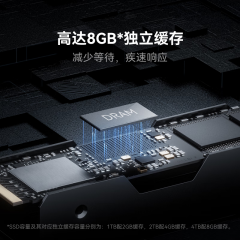 雷克沙固态硬盘 NM1090 2T M.2 NVMe协议 PCIe5.0x4 (19496)