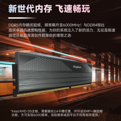 金百达台式机内存 星刃 DDR5 32G 6000 16G*2 套条 海力士A-die颗粒 C30 (19748)