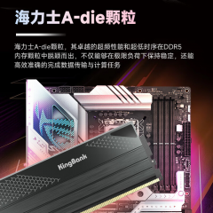 金百达台式机内存 星刃 DDR5 32G 6000 16G*2 套条 海力士A-die颗粒 C30 (19748)