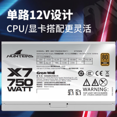 长城电源 额定750W X7 白色 金牌全模 ATX3.1 原生PCIe5.0接口 (19479)