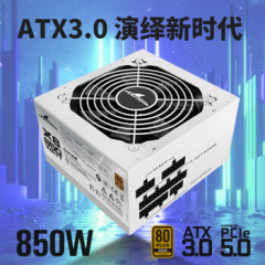 长城电源 额定850W X8 白色 金牌全模 ATX3.1 原生PCIe5.0接口 (19481)