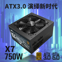 长城电源 额定750W X7 黑色 金牌全模 ATX3.1 原生PCIe5.0接口 (19478）