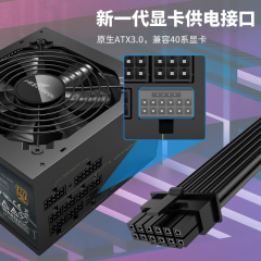 长城电源 额定750W X7 黑色 金牌全模 ATX3.1 原生PCIe5.0接口 (19478）