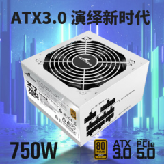 长城电源 额定750W X7 白色 金牌全模 ATX3.1 原生PCIe5.0接口 (19479)