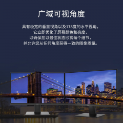 微星显示器 PRO MP241X 24寸/75HZ 可壁挂 低蓝光 HDMI+VGA (19019)