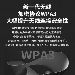 【TP】 无线USB/WIFI6 网卡 TL-XDN9000免驱版 /3000M/不带天线 (20013)