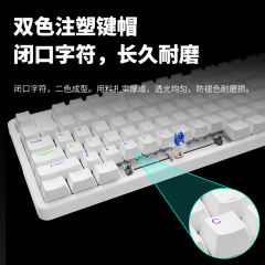 雷柏 V500PRO-87 升级款 87键 有线机械 单键盘 游戏电竞 混光 青轴 (20040)