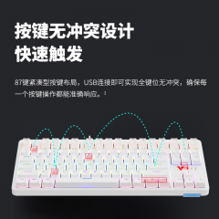 雷柏 V500PRO-87 升级款 87键 有线机械 单键盘 游戏电竞 混光 青轴 (20040)