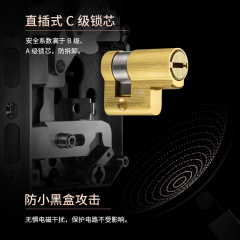 【TP】 门锁 TL-SL21&TL-S010 套装 / 支持指纹、密码、NFC解锁