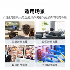 绿联 超五类网络模块 CAT5e免打水晶头 RJ45 1个装 （14561）